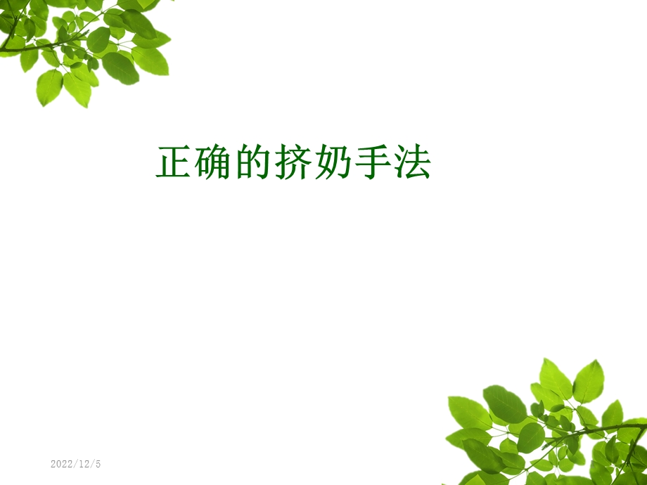 正确的挤奶手法课件.ppt_第1页