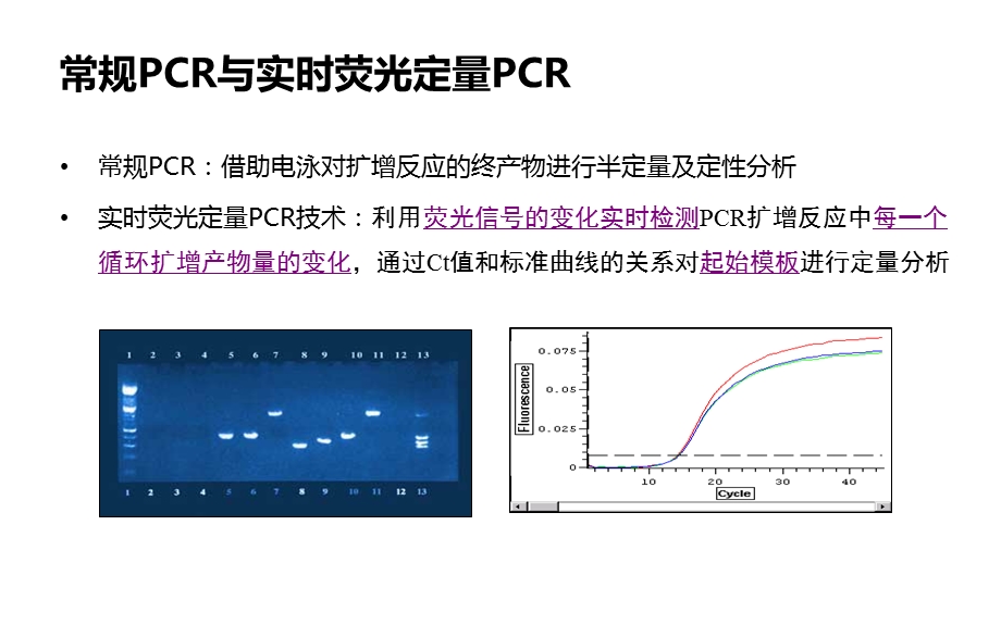 实时荧光定量PCR技术课件.ppt_第3页