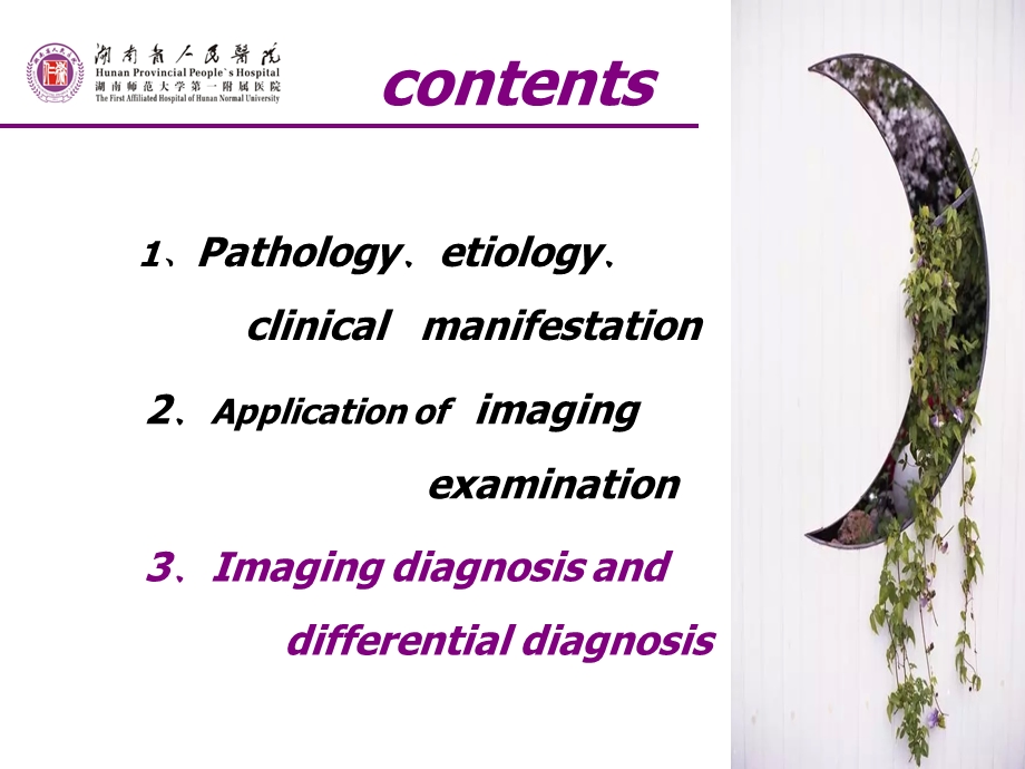 脑膜瘤的影像学诊断课件.ppt_第2页