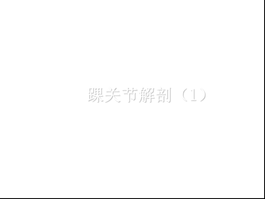 踝关节解剖基础课件.ppt_第1页