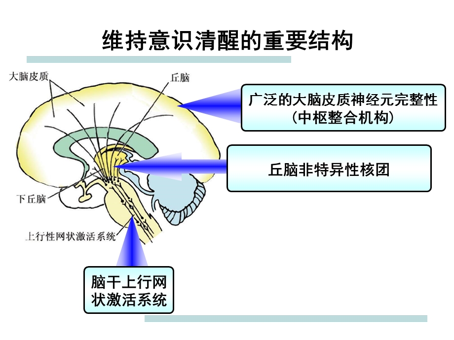 意识障碍概念及诊疗思路课件.ppt_第2页