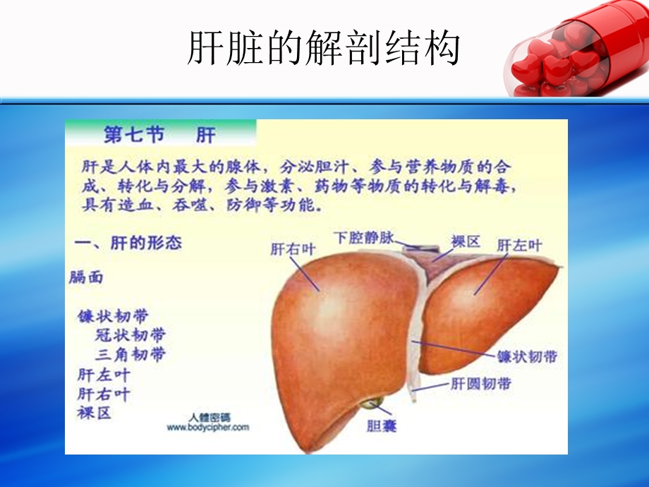 肝叶切除术后护理课件.ppt_第2页