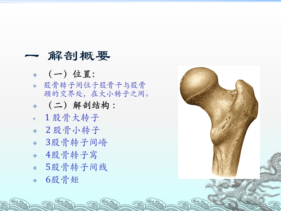 股骨转子间骨折课件.ppt_第3页