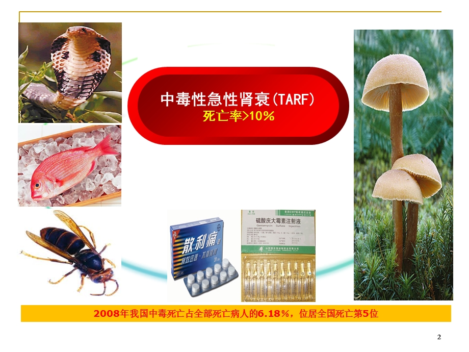 急性中毒的血液净化治疗课件.ppt_第2页