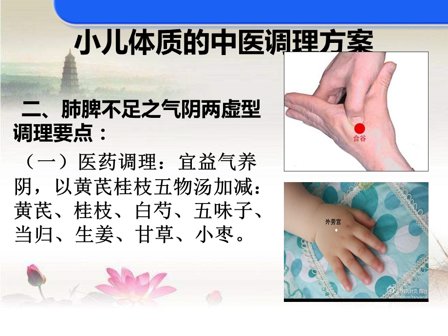 小儿体质的中医调理方案课件.ppt_第3页