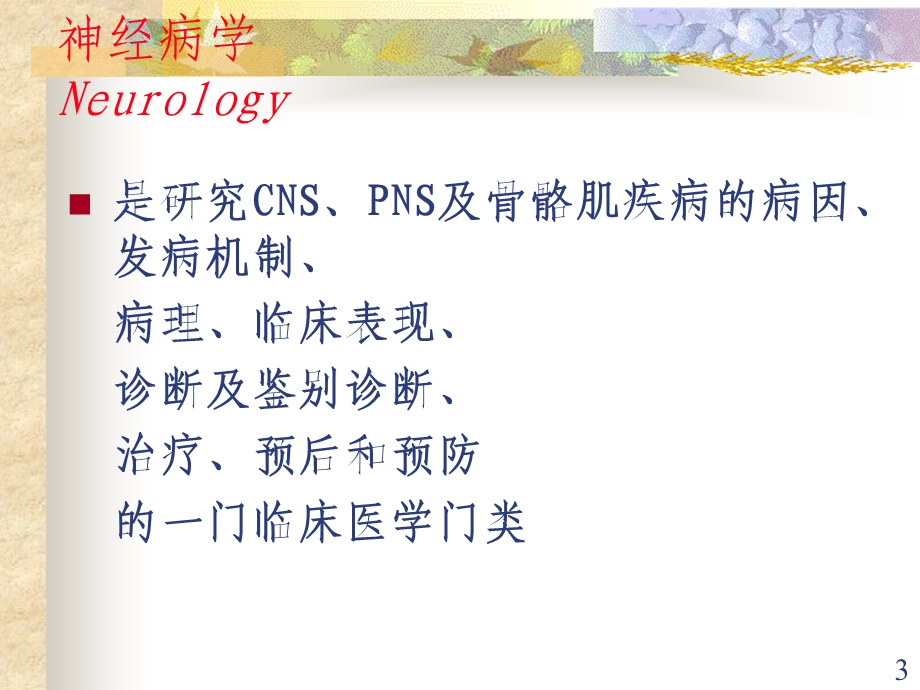 神经病学讲课课件.ppt_第3页