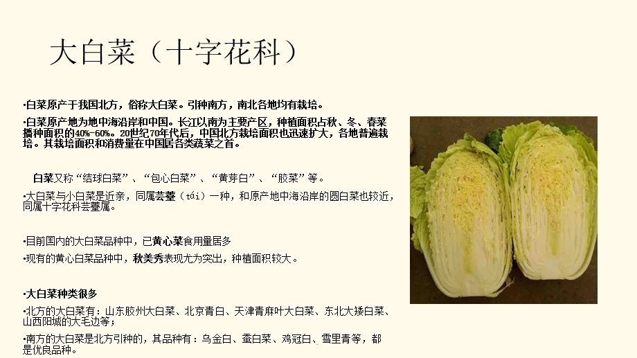 白菜常见病虫害防治课件.ppt_第3页