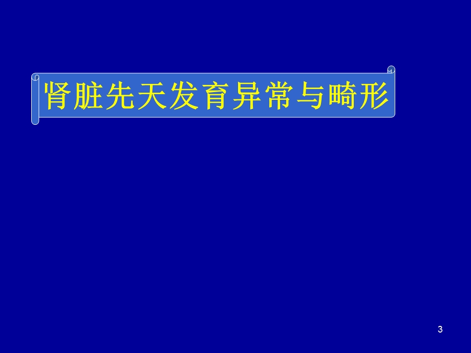 肾脏先天发育异常影像学诊断课件.ppt_第3页