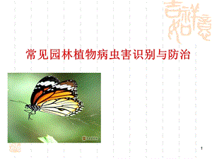 常见园林植物病虫害防治课件.ppt