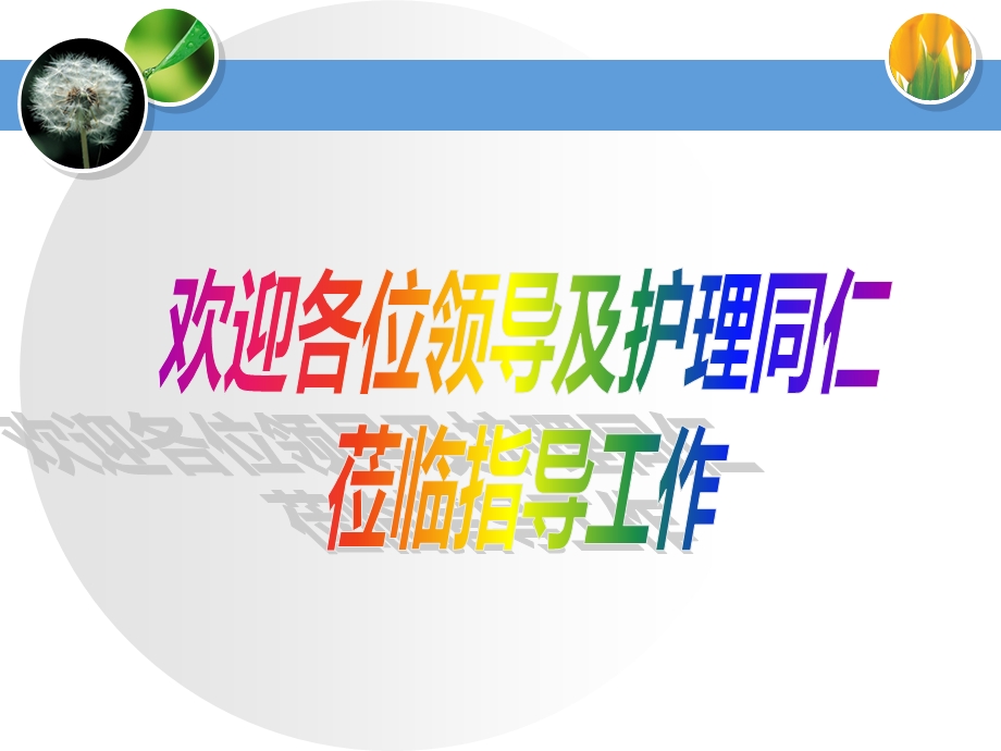 慢性扁桃体炎护理查房课件.ppt_第2页