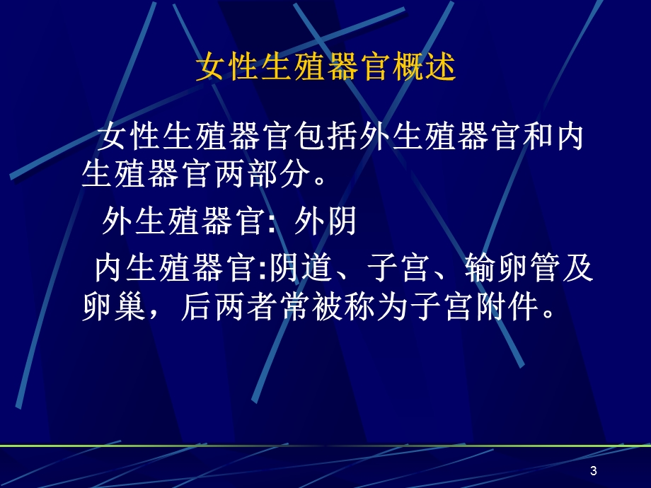 女性健康知识课件.ppt_第3页