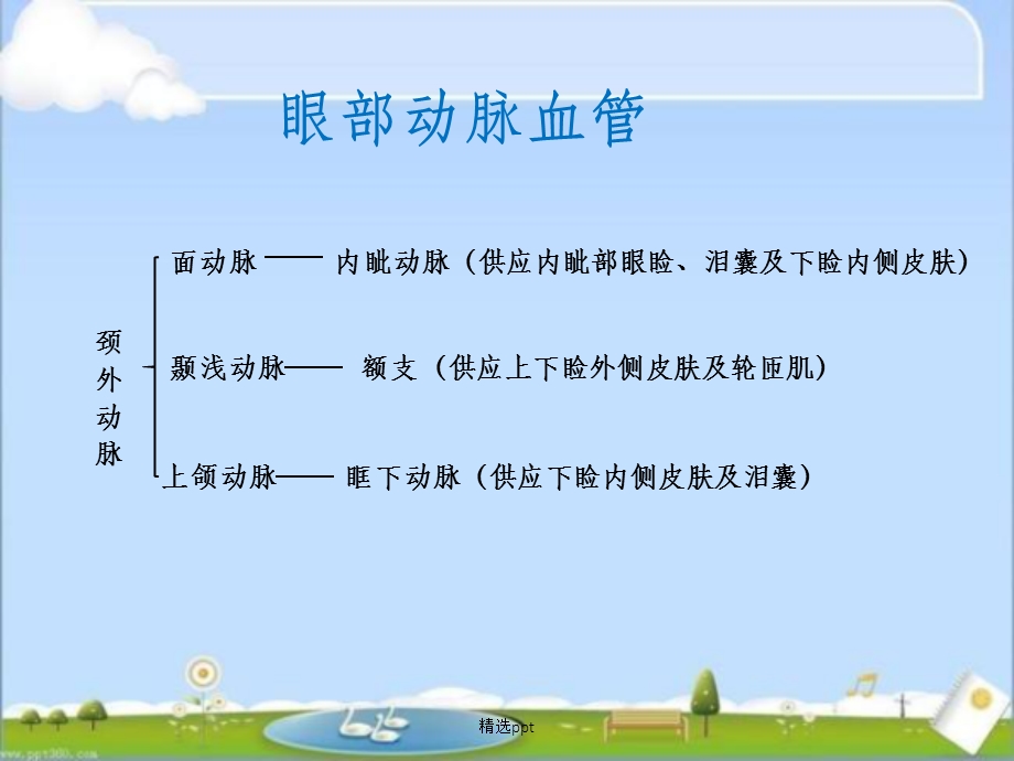 眼部动脉解剖课件.ppt_第3页