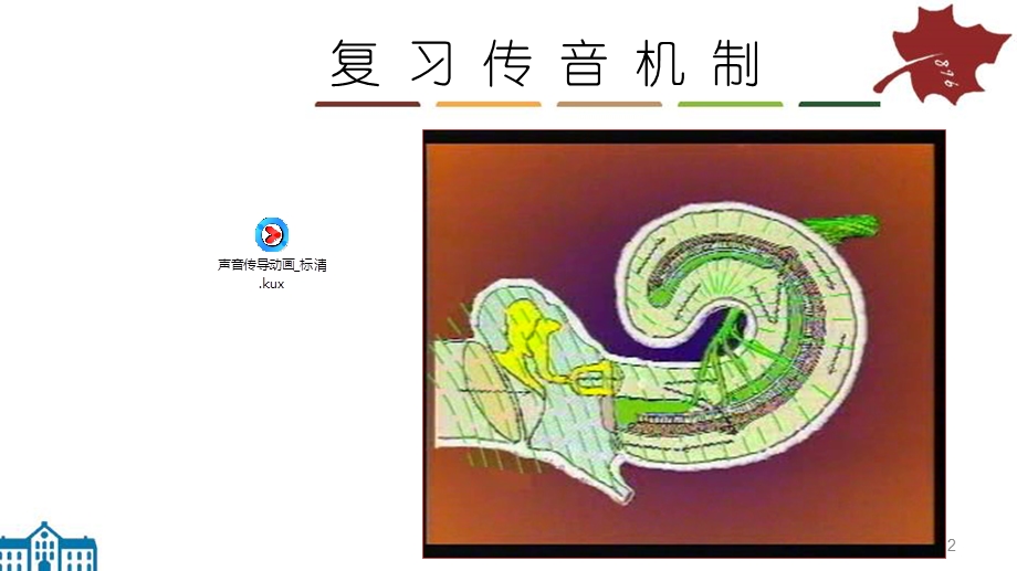 耳音叉试验课件.ppt_第2页