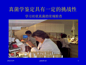 真菌学鉴定具有一定的挑战性课件.ppt