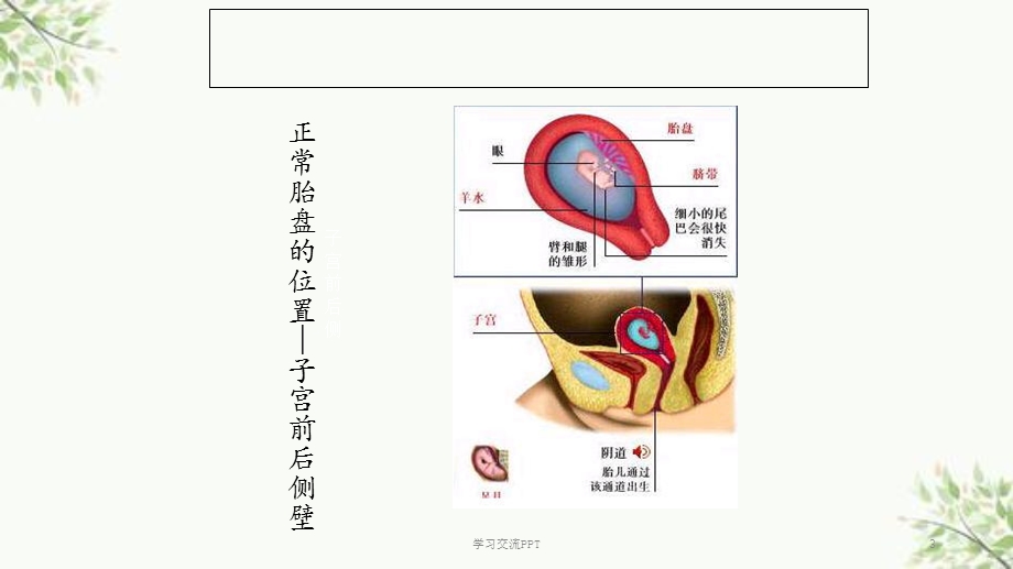 妇产科小讲课ppt课件.ppt_第3页