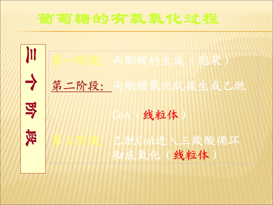 生物化学第四章课件.ppt_第3页