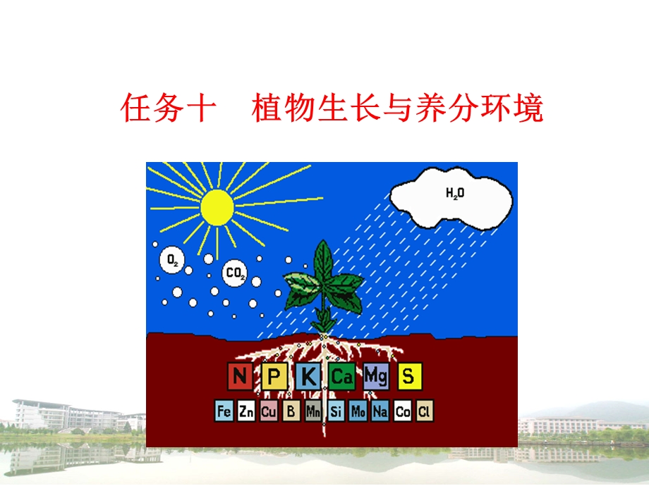 植物生长与养分环境课件.ppt_第1页