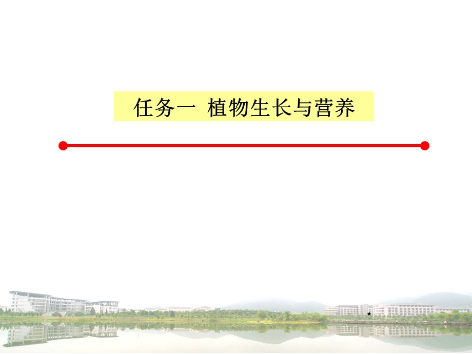 植物生长与养分环境课件.ppt_第3页