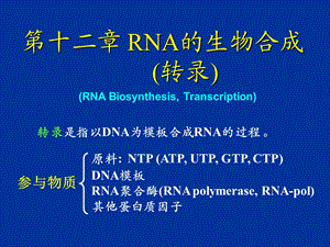 RNA的生物合成(转录)课件.ppt