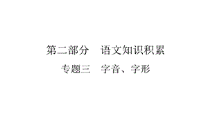 2021年中考(云南)语文复习：专题3字音、字形课件.ppt