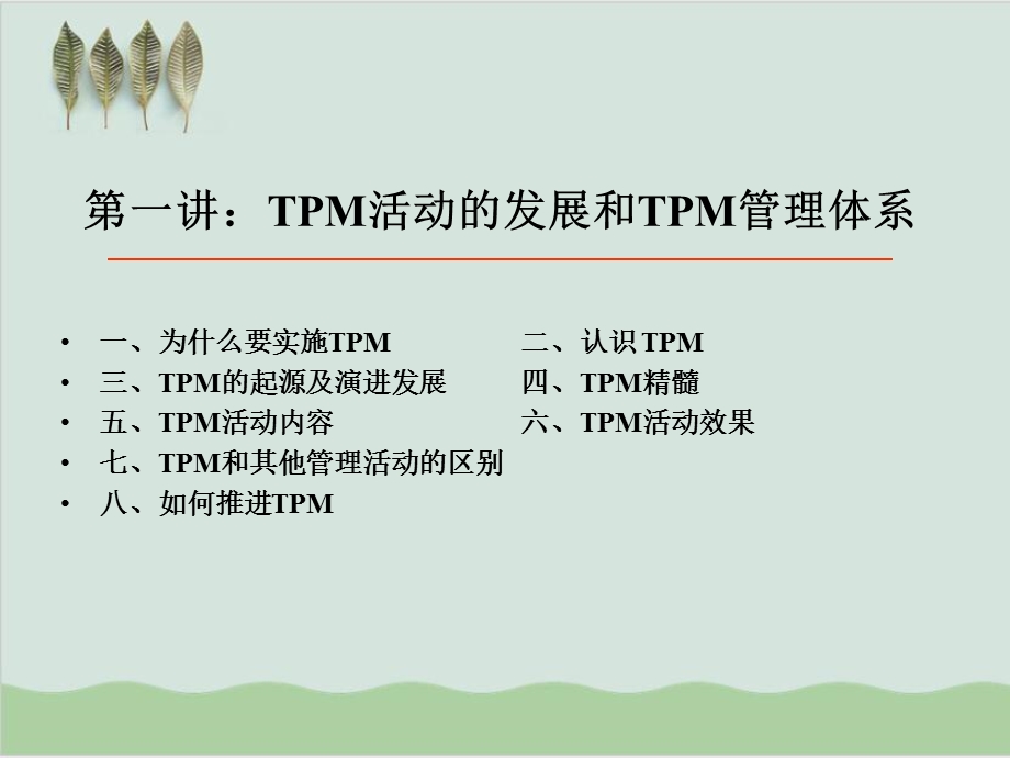 TPM专供精益生产咨询师用的讲义课件.ppt_第2页