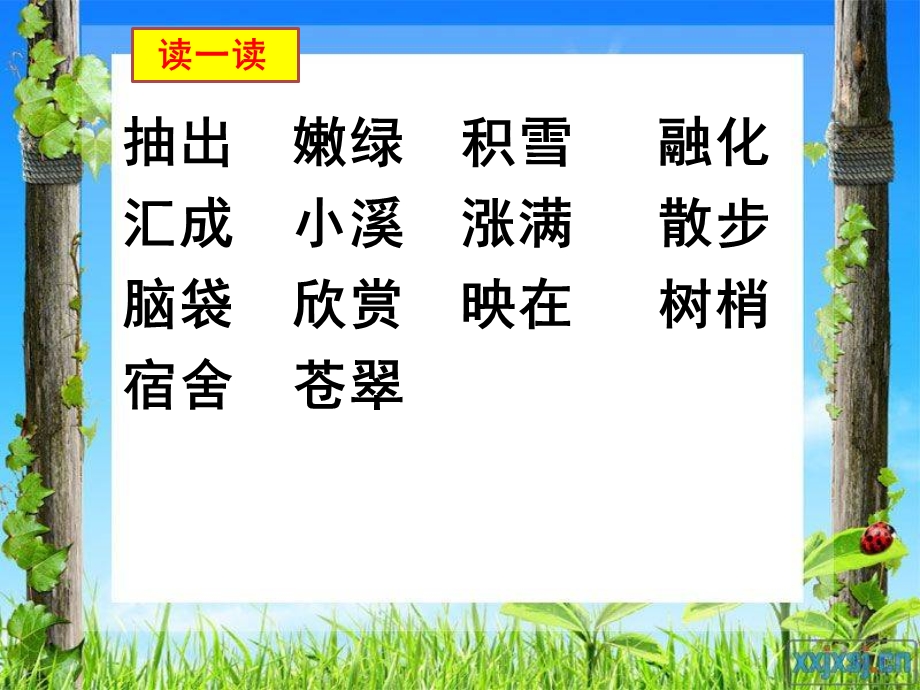 《美丽的小兴安岭》第二课时公开课课件.ppt_第3页