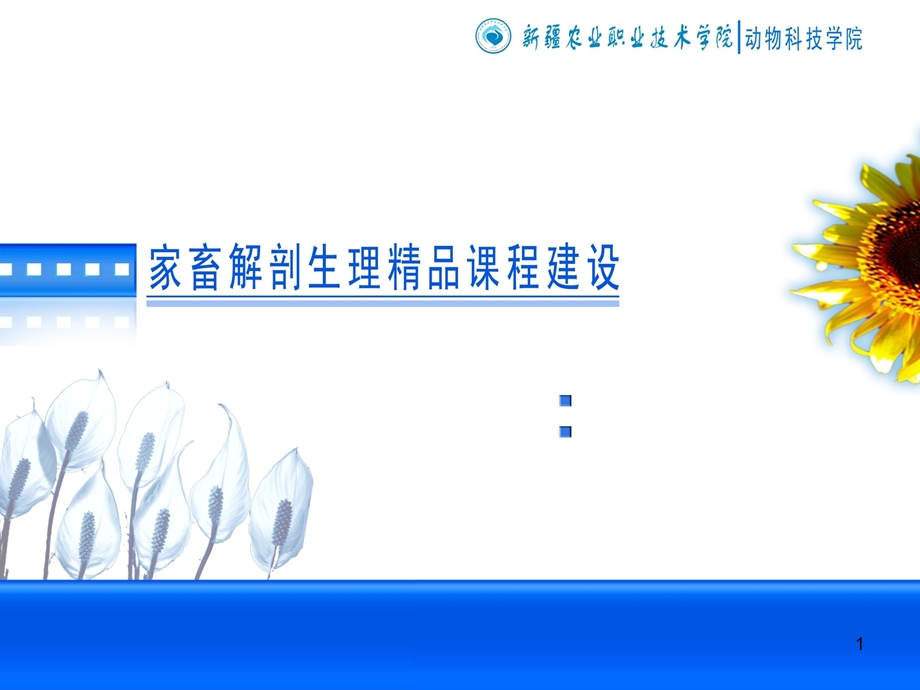 家畜解剖学课件.ppt_第1页