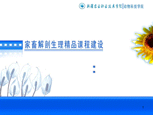 家畜解剖学课件.ppt