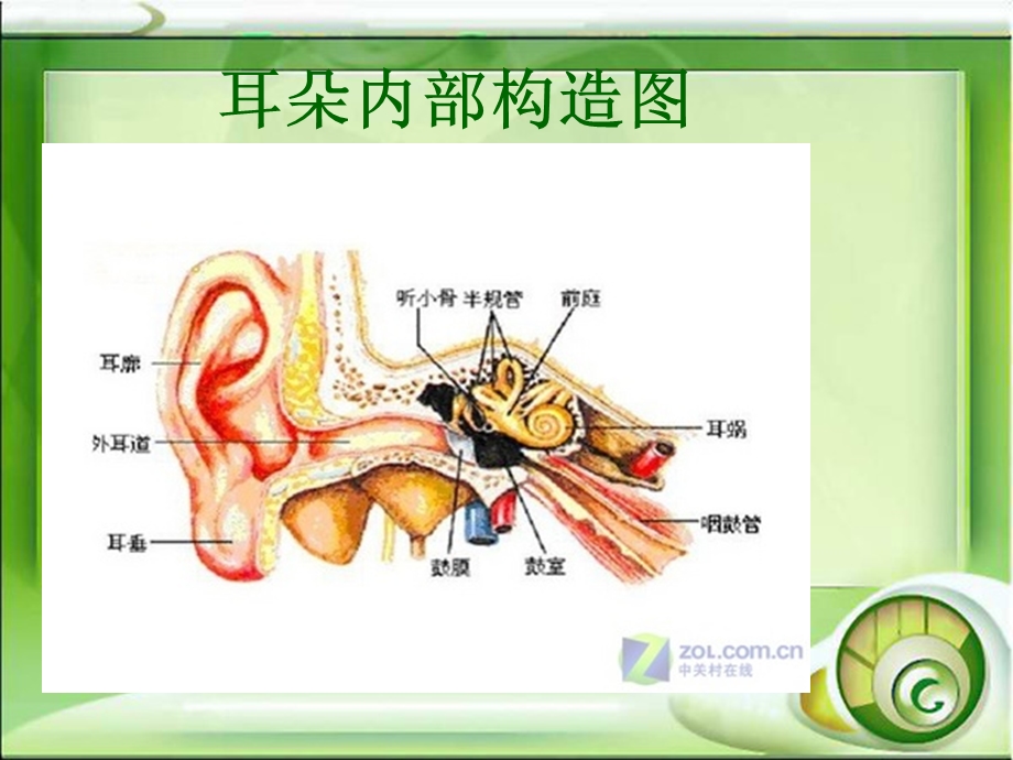 突发性耳聋的护理查房课件.ppt_第3页