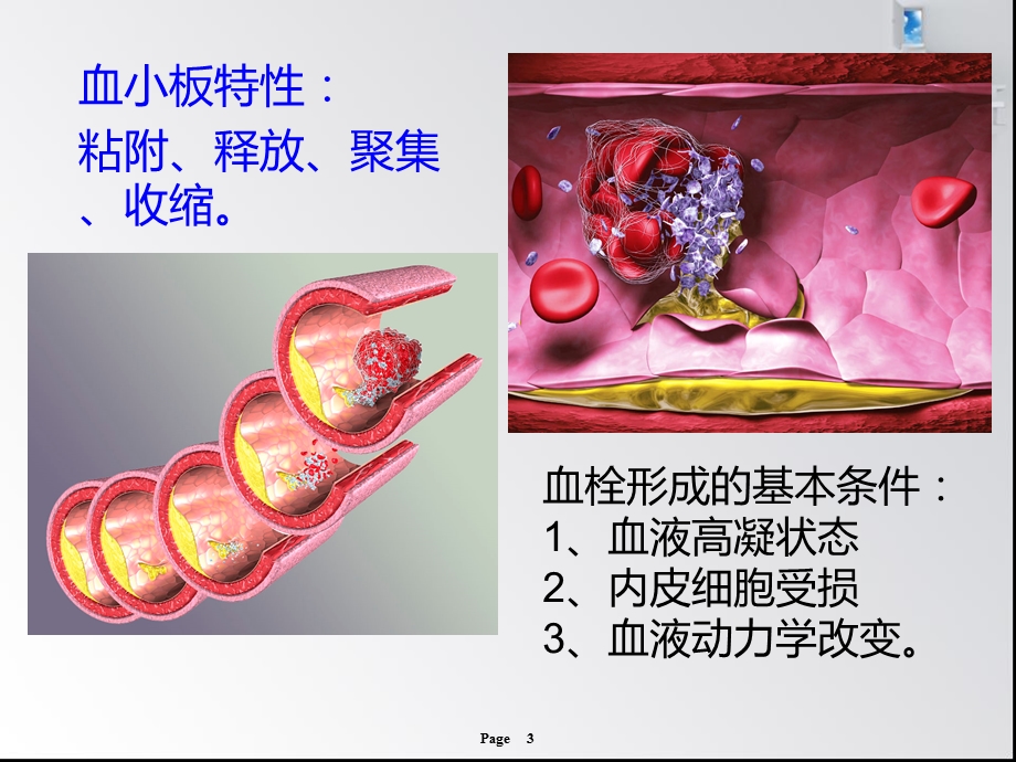 心血管疾病溶栓、抗栓治疗课件.ppt_第3页