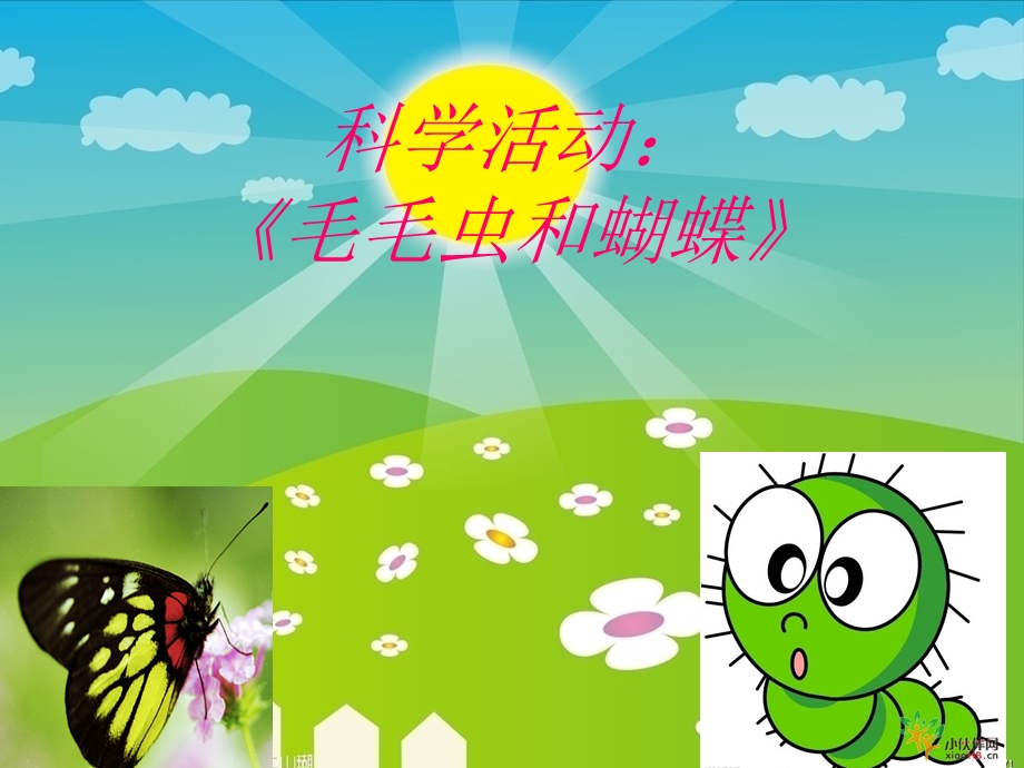 中班科学活动：毛毛虫与蝴蝶课件.ppt_第1页