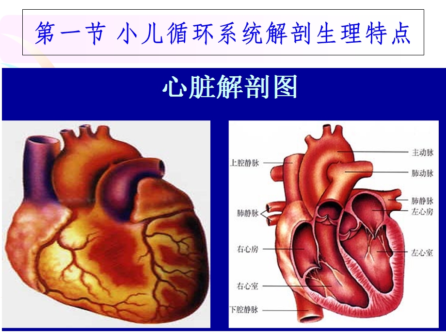 循环系统疾病患儿的护理课件.ppt_第3页