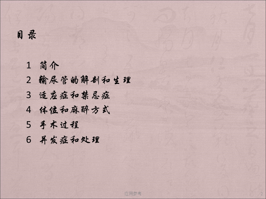 输尿管镜钬激光碎石术课件.ppt_第2页