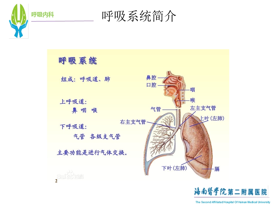 高频胸壁震动排痰机的使用课件.ppt_第3页