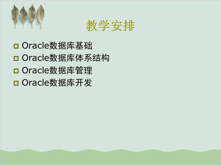 Oracle数据库系统教程课件.ppt_第2页