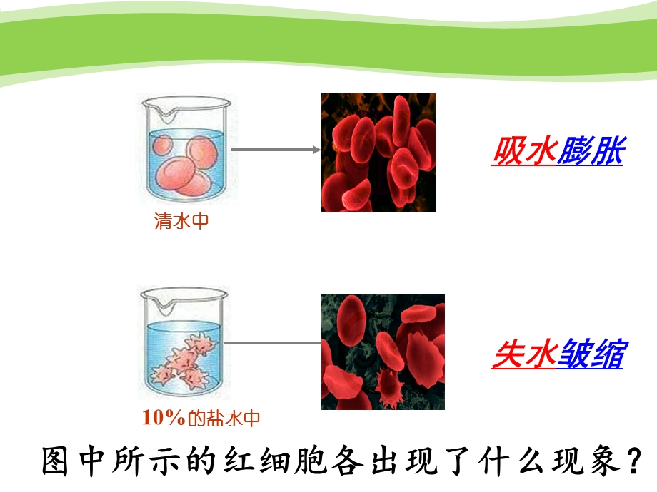 三物质进出细胞的方式课件.pptx_第2页