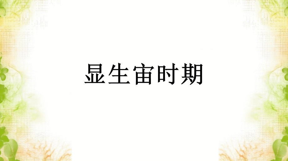 《显生宙时期》ppt课件.ppt_第1页