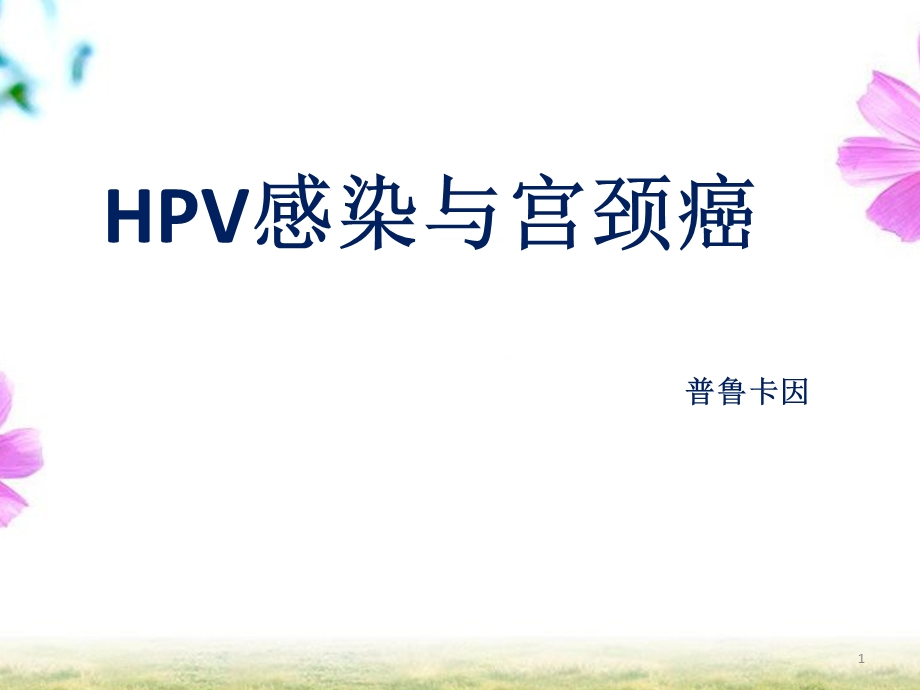 HPV感染与宫颈癌课件.ppt_第1页