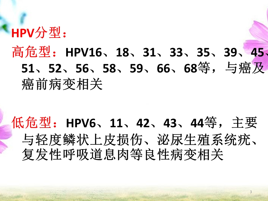 HPV感染与宫颈癌课件.ppt_第3页