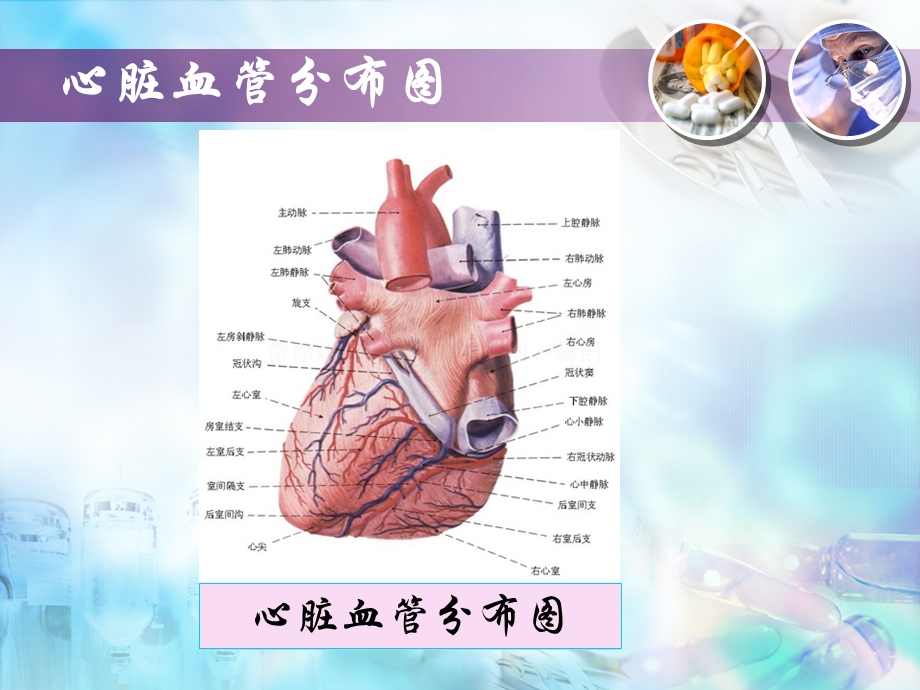 心脏疾病主要检测的指标课件.ppt_第3页