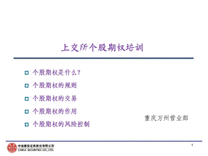 个股期权基础培训1精品资料课件.ppt