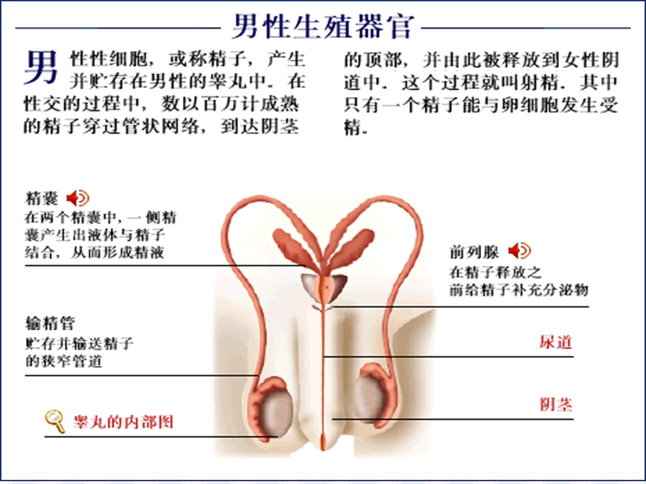 运动与健康课件ppt.ppt_第2页