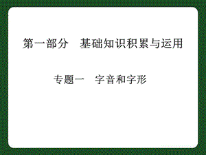 中考语文专题复习一 字音和字形课件.ppt