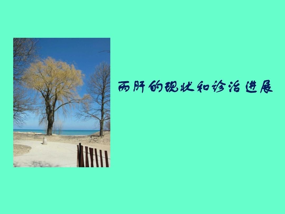 丙肝的现状和诊治进展课件.ppt_第2页