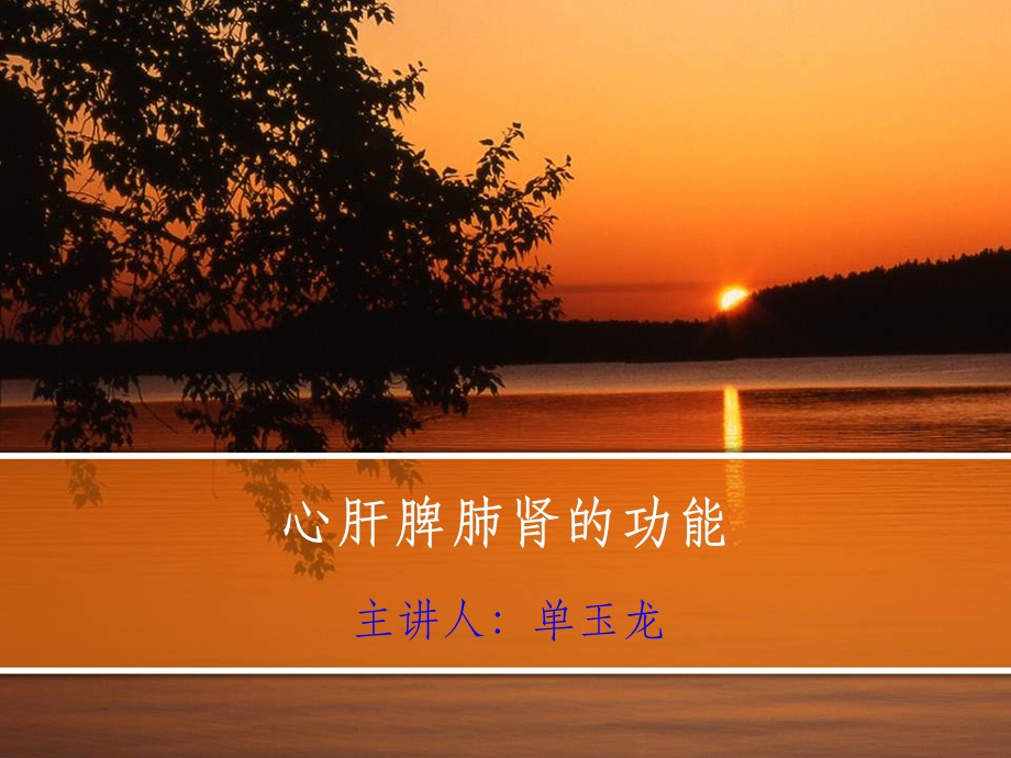 心肝脾肺肾的功能课件.ppt_第1页