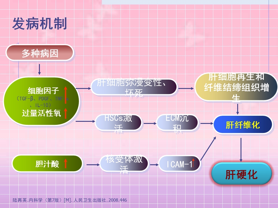 思美泰治疗肝硬化以及梗阻性黄疸的使用课件.ppt_第3页