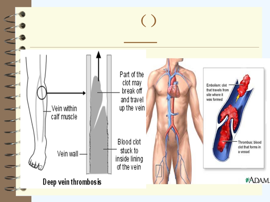 静脉血栓栓塞症病理生理的前沿问题课件.ppt_第3页