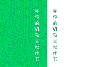 VIS设计规范完全手册分析课件.ppt