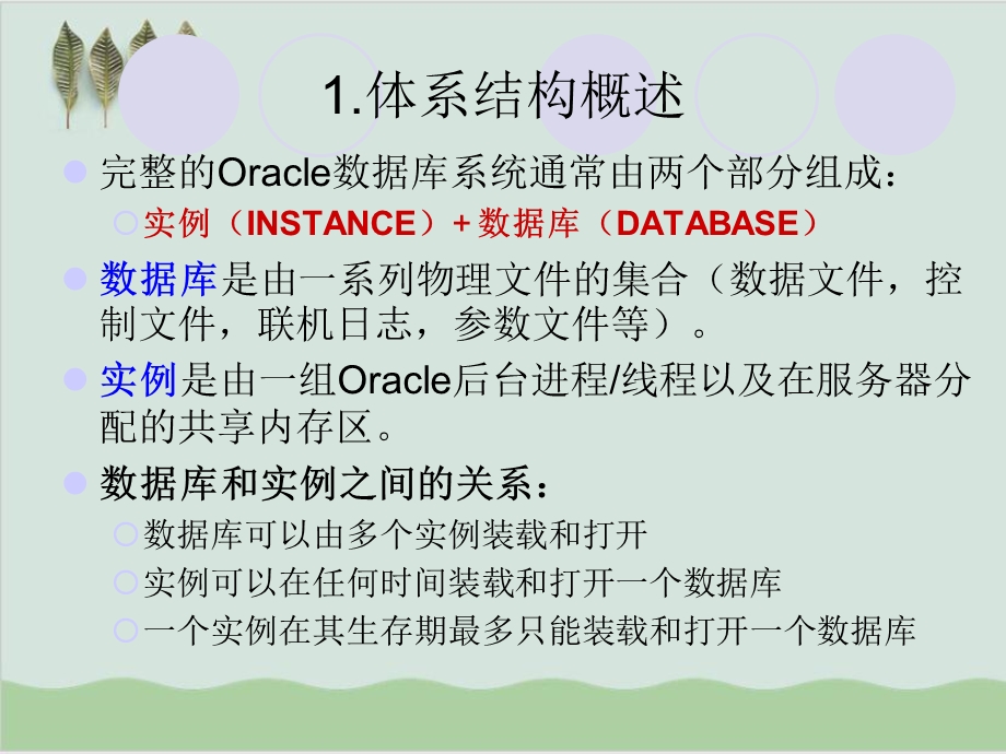 Oracle的体系结构课件.ppt_第2页