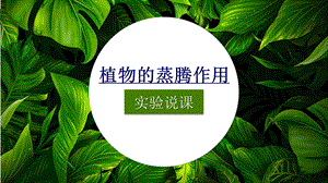 《植物的蒸腾作用》说课ppt课件(全国获奖实验说课案例).pptx